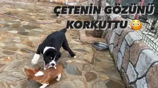 ALABAİ BOSS KEMİK PARTİSİNDE İLK İCRAATINI YAPTI