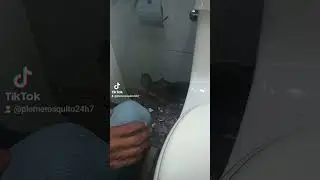 Plomeros Quito.Ecuador.solucionamos fugas filtraciones,goteos,ba&ntilde;os,duchas,lavabos,griferias☎️☎️☎️