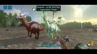 Random ark stuff