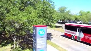 UofH - Cougar Country