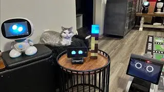 LOOI & Friends - Sunday Robots Livestream (Hug A Robot 🤖)