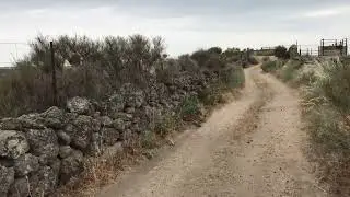 Camino Moz&aacute;rabe: Wildflower path on the camino