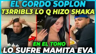 🤣EL GORDO SOPLON 🤣 KINGTEKA QU3MA A SHAKA RECUENTA LO QUE HIZO EN EL TONO | INFIEL?