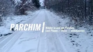 Flugplatz Schwerin Parchim | Wälder in und um Parchim Lost Places // Natur // vergessenes