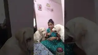 Mixcy r খাওয়া বন্ধ হয়ে গেলো 😥😥//@myselfpompi