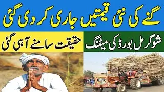 Sugarcane Rates 2021 ||Sugarcane Prices in Pakistan from Sugar Mills || گنےکی نئی قیمتیں سامنےآ گئیں
