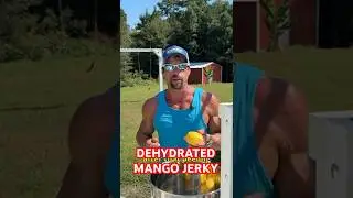 Dehydrated Mango Jerky! #dehydrated #jerky