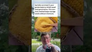Sprinkle Cornmeal in Your Garden Beds To Inhibit Weed Seed Germination.