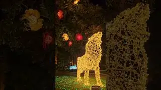 Luci d'Artista Salerno 2023-2024, il Giardino Incantato: le luminarie della villa comunale #Salerno