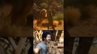 leo trailer // leo trailer tamil  #leotrailer