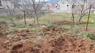 ALAN YAYLASI NDA KISA BİR GEZİNTİ