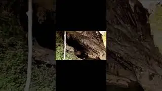 Largest Cave in #laos?  Not Yet!!!