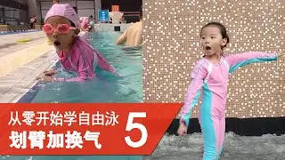 《从零开始学自由泳 5》：效率提升 20cm！学会&ldquo;躯干转动&rdquo;技术，用核心力量带动划臂和换气！
