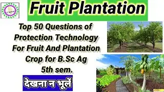 Top 50 Questions of  Protection Technology For Fruit And Plantation Crop for B.Sc Ag 5th sem.
