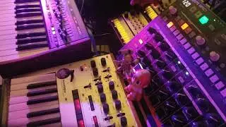 No Regrets After Sunset - Shelfblack - Korg Monologue Synthesizer Jam
