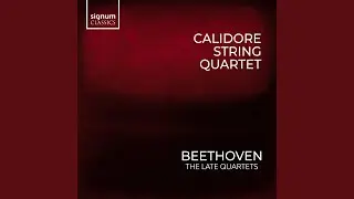 String Quartet No. 14 in C-Sharp Minor, Op. 131: I. Adagio ma non troppo e molto espressivo