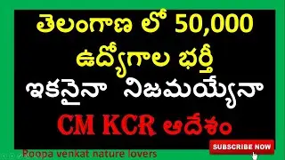 Telangana job news /TS Govt jobs 2021 / TS Job notifications / KCR Green signal for 50k jobs /Roopav