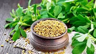 Ebers Papyrus: Ancient Egyptian Blood Sugar Secret!