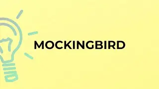 What is the meaning of the word MOCKINGBIRD?