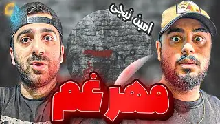 REACTION MehrQam 
