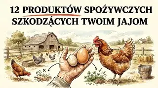 Nie karm tym kur: te produkty sprawiają, że jaja są małe i rujnują twoje gospodarstwo