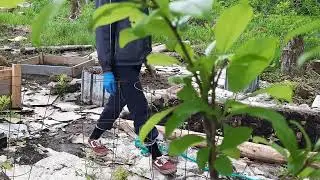 Building a Garden in the Countryside Step by Step | Country Life Vlog