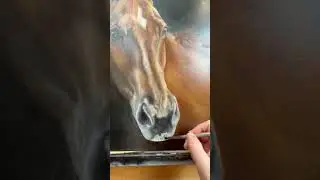 A month of underpainting and refining.Slow work. Quiet decisions. Every layer counts. ✨ #equineart