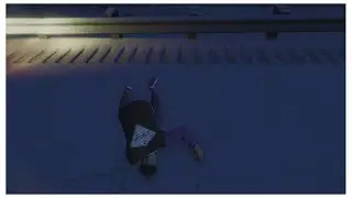 playing GTAV with my cooked friend