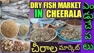 Dry fish Market in chirala vodarevu.(చీరాల ఓడరేవు ఎండు చేపల మార్కెట్)..