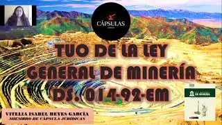 Cápsulas | Nociones Generales del TUO de la Ley General de Minería