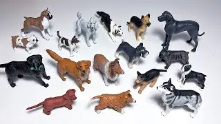 Dogs Collection - French Bulldog, Collie, German Shepherd, Labrador, Golden Retriever, Great Dane
