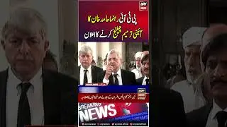 PTI decided to Challenge Constitutional Amendments #pti #hamidkhan #constitutionalamendment #shorts