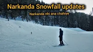 Snowfall update Narkanda | Latest video Narkanda| Shimla Narkanda | Himachal Pradesh 