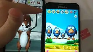 Talking Birds On a Wire VS Talking James the Squirrel echo