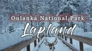 Oulanka National Park Lapland || Finland 2019 || GoPro