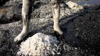Global Economy and Health: UBC Seeks Solutions to Salt Mining Challenges