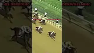 Фусаичи Пегас | #скачки #скаковаялошадь #скачки