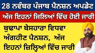 Punjab budapa pension news 28 November 2025 , big update 