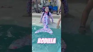 Clases de nado con cola de sirena 🧜&zwj;♀️ 💦 #laracampos