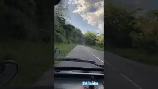 Kandy to Badulla Road Trip | Most Scenic Drive in Sri Lanka 🇱🇰 | Mountain & Mist Views 🌿