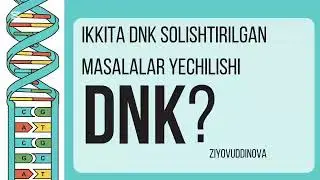 2ta DNKning solishtirilgan masala yechilishi