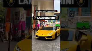 luxury car were Brands. #jaguar #chevrolet #hummer #ferrari #bmw #lamborghini #Dogde #AUDI#mercedes