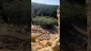 Off Leash Dog walking trails #dog #hikingwithdogs #coloradosprings #adventure #outdoors #solotravel