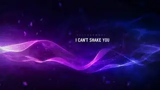 MetaHarmony   I Can't Shake You