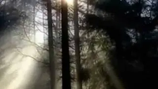 Oceán - Černé je nebe (Petr Muk Tribute)