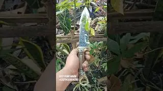 🔥BOWIE KNIVES CUSTOM 🔥#bowieknife #blade #sword #blacksmith #handmade #martialarts #hunting