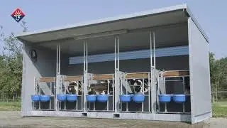 Mobiele Eenlingboxenstal - Alpuro Breeding