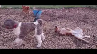 Blake, Jimmy and Finn