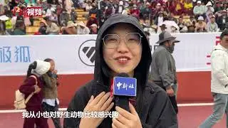 青海玉树：国家级非遗赛马盛会引八方客来