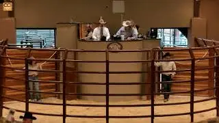 Cox Ranch Angus Production Sale, Peaster, TX